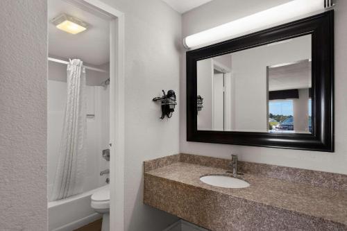 a bathroom with a sink and a mirror at Econo Lodge White Pine Morristown I-81 & I-40 Split in White Pine