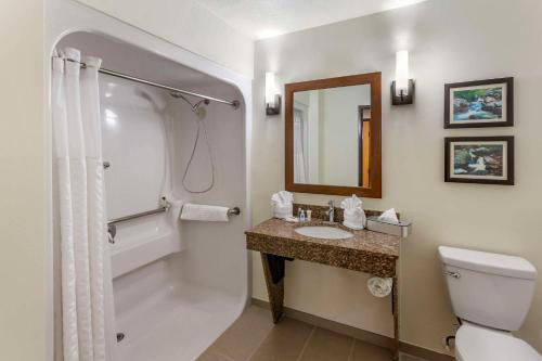 een badkamer met een toilet, een wastafel en een douche bij Comfort Suites Ogden Conference Center in Ogden