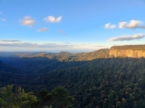 a view of a forested area with mountains in the background at Springbrook Storybook in Springbrook