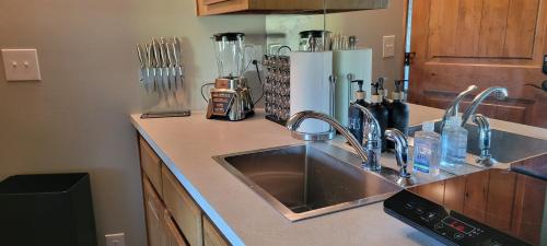 eine Küche mit Spüle und Arbeitsplatte in der Unterkunft LI Airbnb - NWA mt bike, hike, and golf retreat in Bella Vista