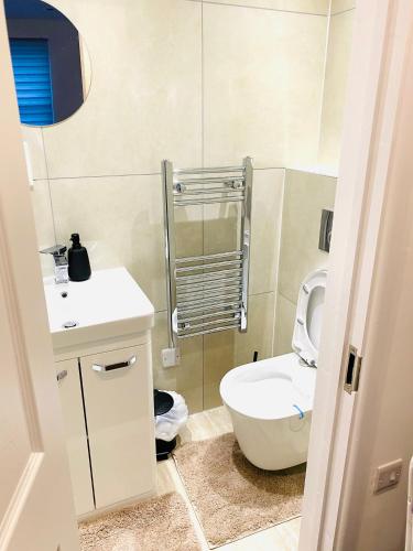 a small bathroom with a toilet and a sink at Buckinghamshire Elegant Studio in Buckinghamshire