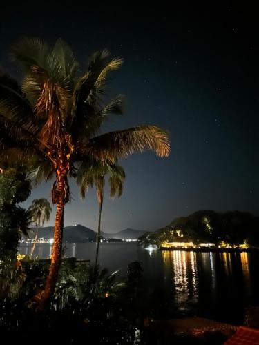 two palm trees in front of the water at night at Cabana do Mar in Angra dos Reis