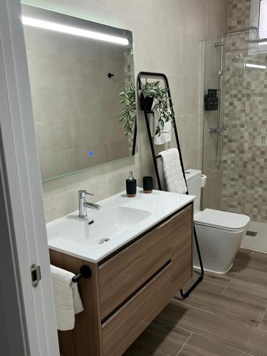 een badkamer met een wastafel, een spiegel en een toilet bij Ponce suite in Córdoba