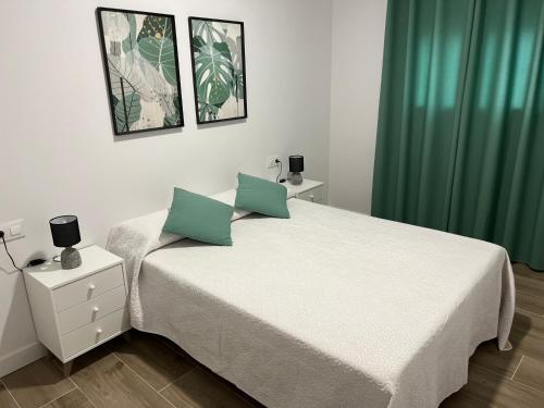 een slaapkamer met een bed en een groen gordijn bij Ponce suite in Córdoba