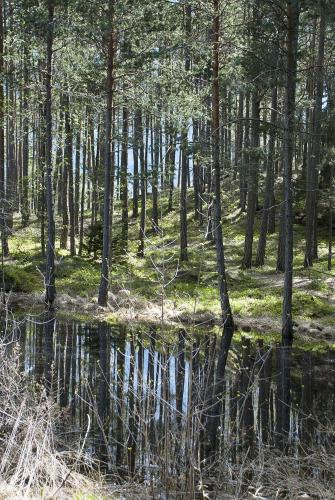 Paesaggio naturale nelle vicinanze dell'hotel