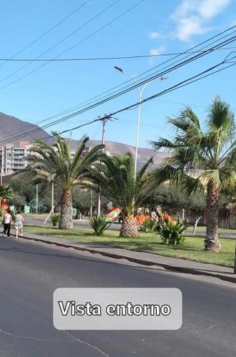 una calle con palmeras al lado de la carretera en Departamento a pasos de Cavancha, en Iquique