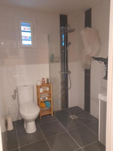 サン・ジョゼフにあるLacréolaのバスルーム(トイレ、ガラス張りのシャワー付)