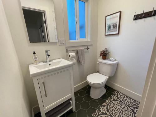 a bathroom with a toilet and a sink and a mirror at Newly renovated, modern and cosy one bedroom condo with full kitchen and lounge in Redding