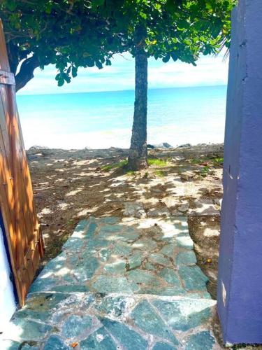 a view of the beach from a house with a tree at Maison Marouka sur la plage du Diamant in Le Diamant
