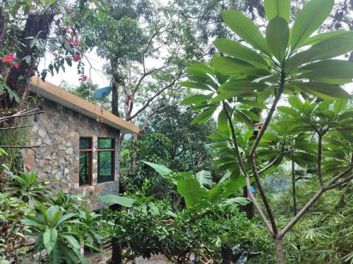 una casa de piedra en medio de un bosque en Casa Musgo en Xilitla
