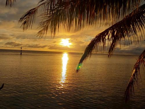a sunset over the water with a palm tree at Pension LE PASSAGE vue jardin in Vaitoare