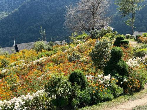 a garden with flowers and bushes on a hill at Prakriti Resort and Organic Farm Pvt. Ltd. in Burhānilkantha