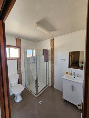 a bathroom with a shower and a toilet and a sink at Coodlie Park Eco Retreat in Talia