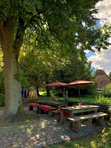 a picnic table with an umbrella under a tree at Alte Ausspanne in Walkendorf