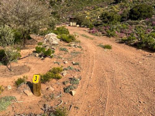 a dirt road with a yellow sign in the middle at Bushman Valley in Prince Albert