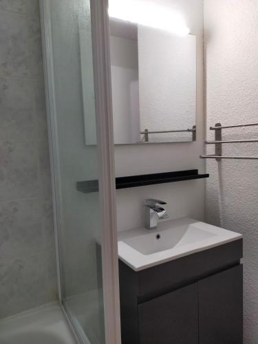 a bathroom with a sink and a shower with a mirror at Appartement Manigod/La clusaz in Manigod