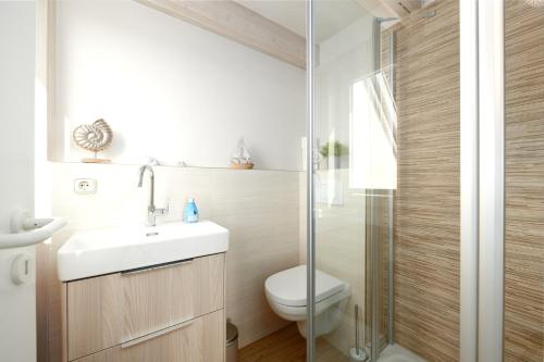 een badkamer met een toilet, een wastafel en een douche bij Haus Windjammer Windjammer Danmark in Laboe