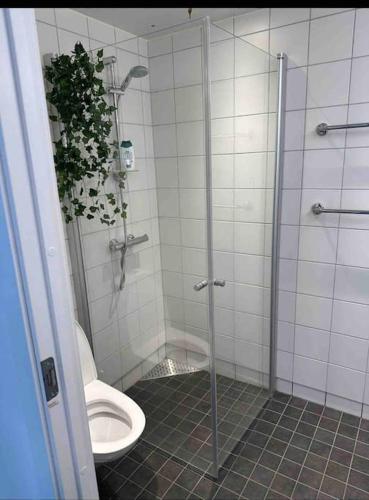 a bathroom with a toilet and a glass shower at Amazing Studio by Royal Palace in Oslo