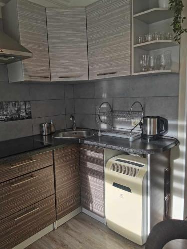 una cucina con lavello e fornetto di Elegant a Ventspils