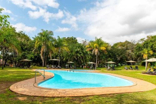 a swimming pool in a park with trees at Kruger Park Lodge Unit No. 239 in Hazyview