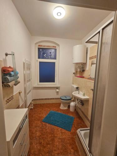 ein Bad mit einem WC, einem Waschbecken und einem Fenster in der Unterkunft Max's Hinterhaus in Dresden