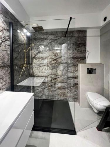 a bathroom with a shower and a toilet in it at Sami Swoi Noclegi 4 in Bełchatów