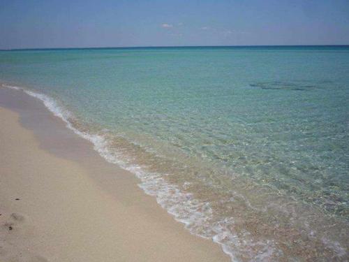 una spiaggia con l'oceano e la sabbia e l'acqua di Res lido marini a Lido Marini