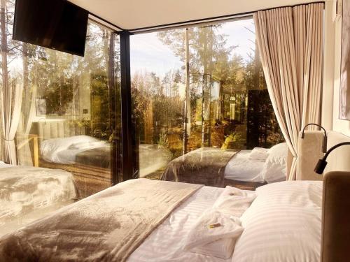 1 Schlafzimmer mit 2 Betten und einem großen Fenster in der Unterkunft Serenity Forest 1 
