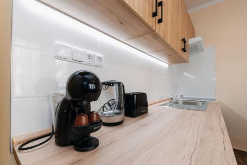 Η κουζίνα ή μικρή κουζίνα στο Apartments TGM 11