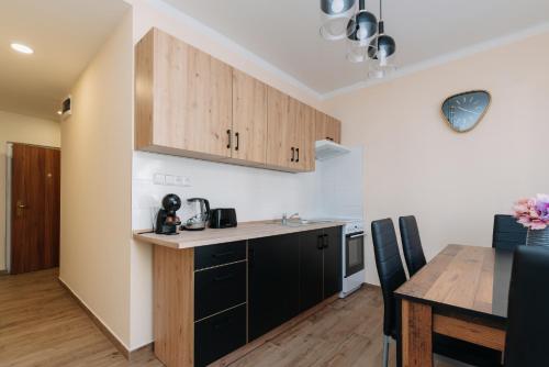 Η κουζίνα ή μικρή κουζίνα στο Apartments TGM 11