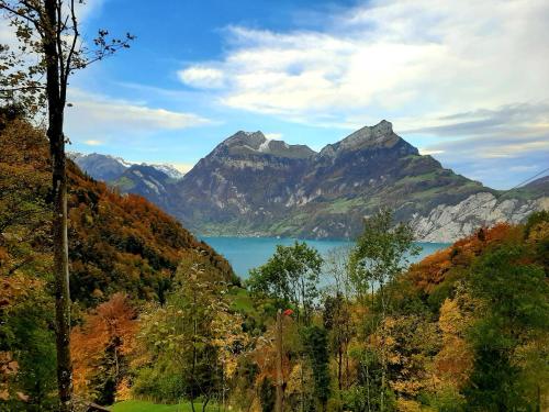 vista su un lago con montagne sullo sfondo di Panorama Jurte über dem Uri-See B a Sisikon