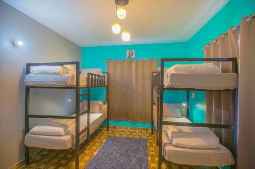 three bunk beds in a room with blue walls at The Bunksters Bir in Bīr
