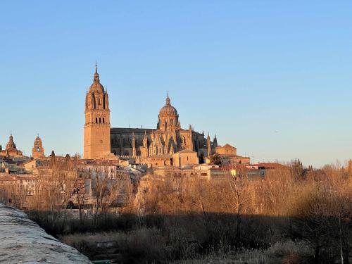 Una vista de una ciudad con un gran edificio. en Almamater salamanca, en Salamanca