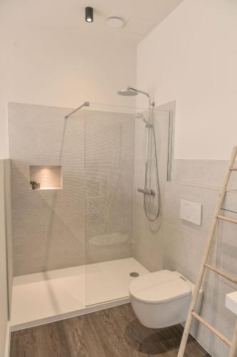 a bathroom with a shower and a toilet at Hof van In & Wellness in Hasselt