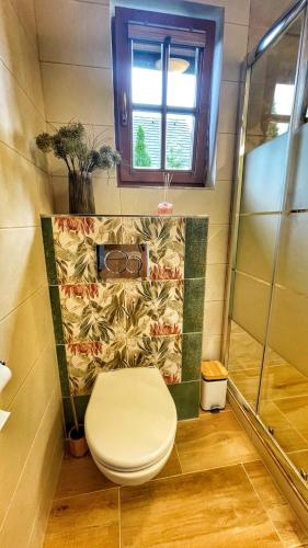 a bathroom with a toilet and a shower at Drevenička Anička - Liptovská Mara in Liptovský Trnovec