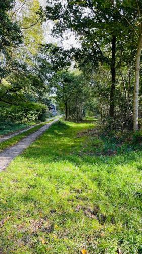 a path through a field of grass with trees at Kleine Burg Ovelgönne in Ovelgönne