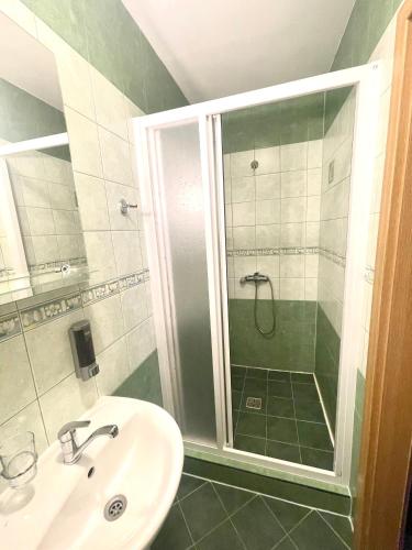 a bathroom with a shower and a sink at Penzion a restaurace U Nováků in Bítovany