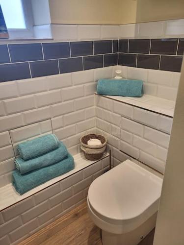 a bathroom with a white toilet and blue towels at Little Apples in Ringwood