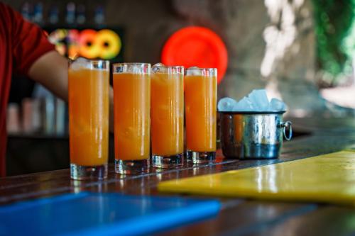 a row of glasses filled with orange juice on a counter at Anadolu Hotels Esenboga Thermal in Esenboga