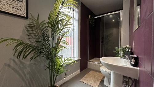 a bathroom with a sink and a toilet and a plant at Snug apartment in the heart of Castleford in Castleford