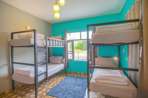 two bunk beds in a room with green walls at The Bunksters Bir in Bīr