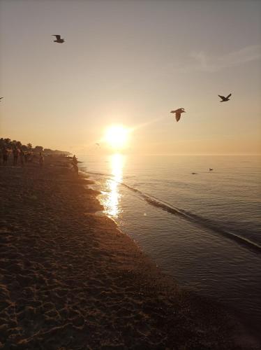 Politechnika Warszawska Ośrodek Wypoczynkowy