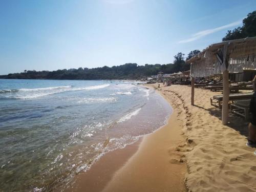 チェルノモレツにあるFlores Garden - Menada Apartmentsのギャラリーの写真