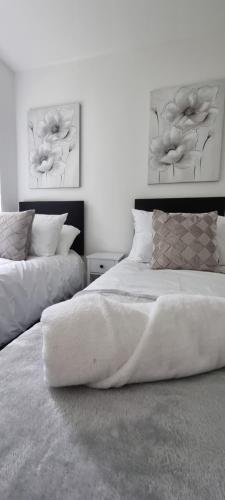 a bedroom with two beds and two pictures on the wall at Silver Serenity in Stoke on Trent