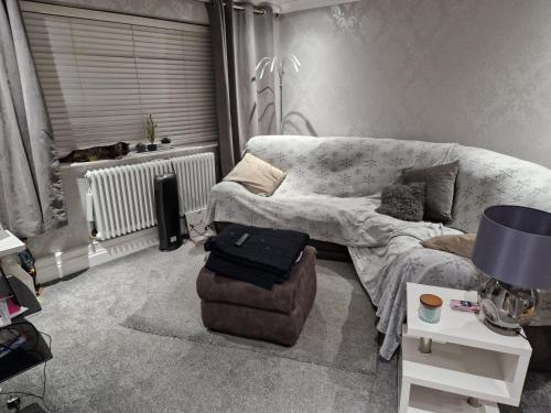 a living room with a couch and a cat in a window at Luxury on a Budget Chelmsford - B&B ROOM in a quiet family home in Chelmsford