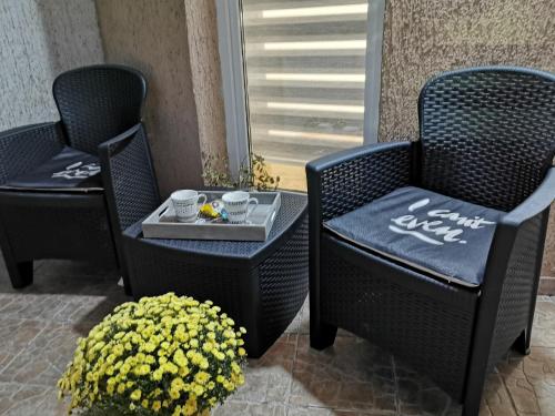 Dos sillas y una mesa con un set de té. en Apartman Paradiso BN 1, en Bijeljina