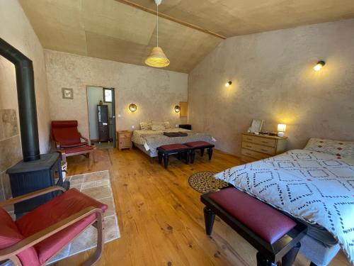 a large room with two beds and a fireplace at Source Nature in Le Mas-dʼAzil
