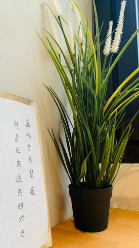 a plant sitting on a table next to a calendar at 甘澄民宿 700坪綠意庭院與手作早餐 in Jian