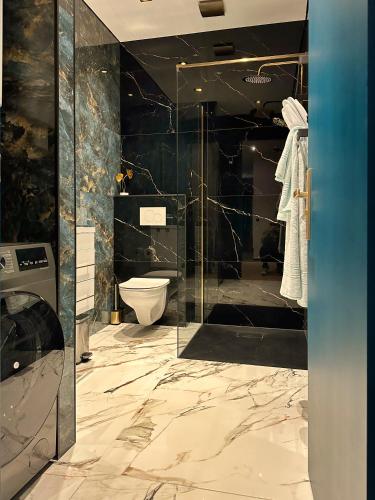 a bathroom with a toilet and a black wall at Luxe appartement dichtbij centrum B in Drachten