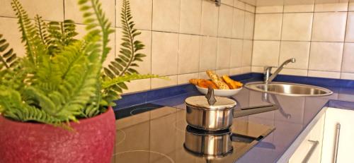 een pot op een fornuis in een keuken met een kom eten bij Ferienwohnung Jandia Dream in Morro del Jable
